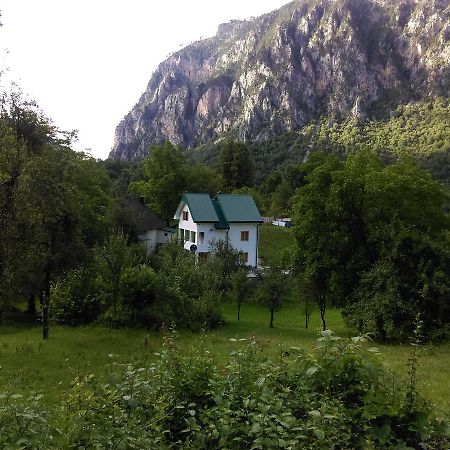 Vila Montana Dobrilovina Eksteriør bilde