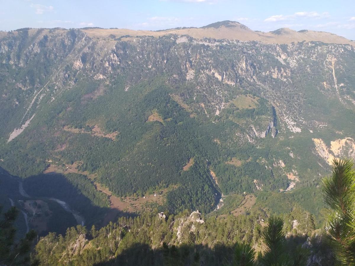 Vila Montana Dobrilovina Eksteriør bilde